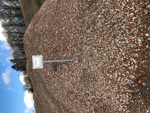 [PR00004851] Prestation EVACUATION